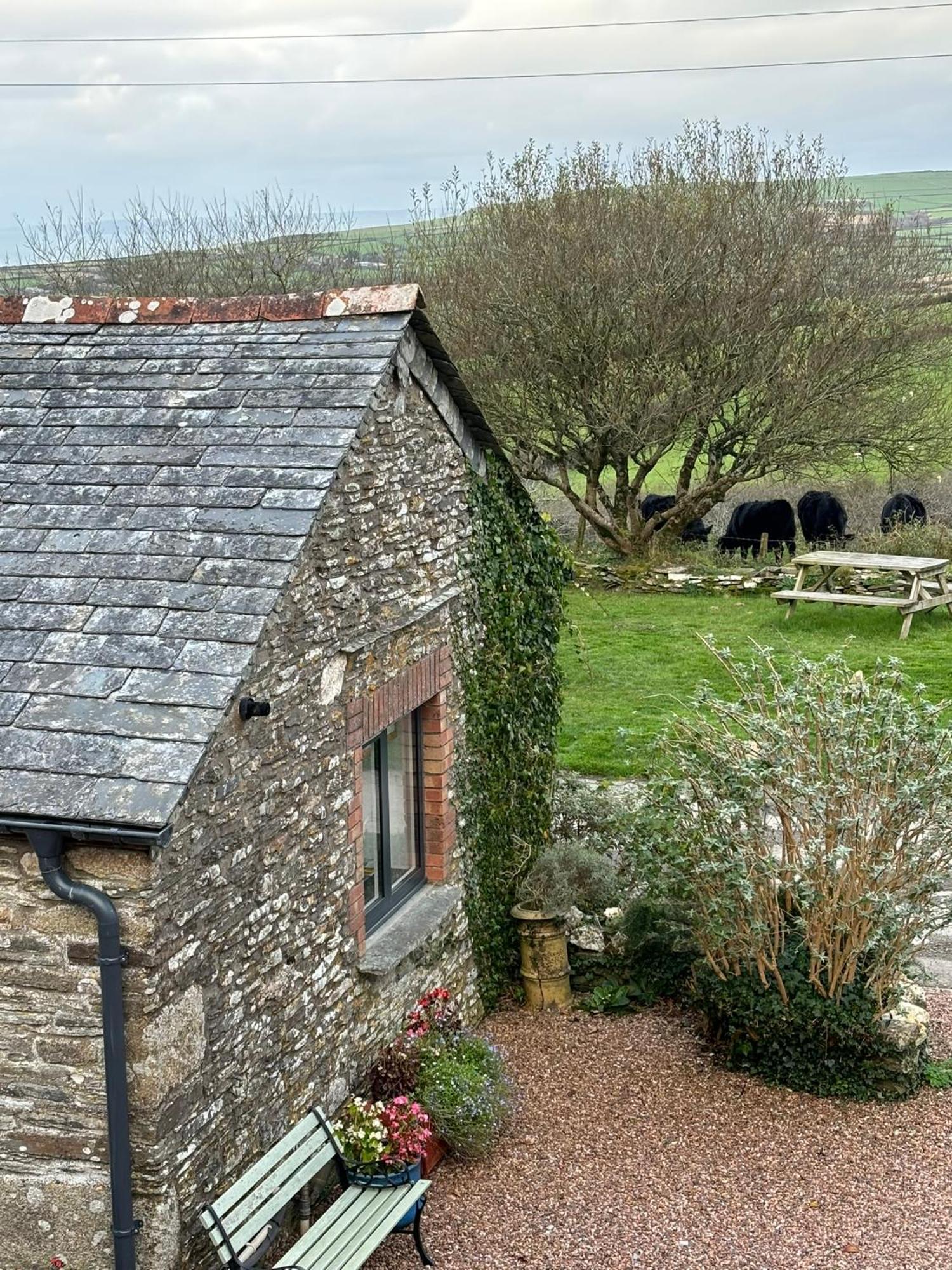 Polrunny Farm Seaberry Cottage With A Sea View And Log Burner Boscastle Exterior photo